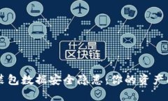 TP Wallet安装包数据安全隐患：你的资产面临哪些