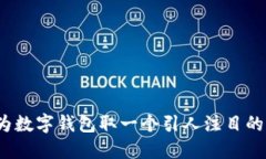 如何为数字钱包取一个引人注目的名字？