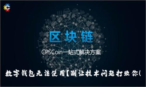 数字钱包无法使用？别让技术问题打败你！