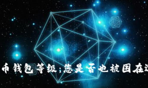 揭秘数字人民币钱包等级：您是否也被困在选择的迷雾中？