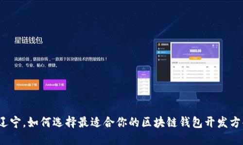 在辽宁，如何选择最适合你的区块链钱包开发方案？