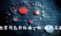 让你的数字钱包升级为一级：挑战与策略并存