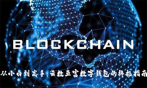 从小白到高手:云数五富数字钱包的终极指南