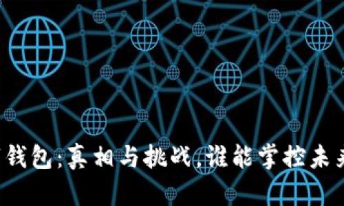 一人玩转数字钱包:真相与挑战,谁能掌控未来的支付方式?