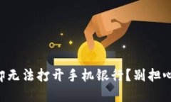 “TP钱包下载成功，却无法打开手机银行？别担心