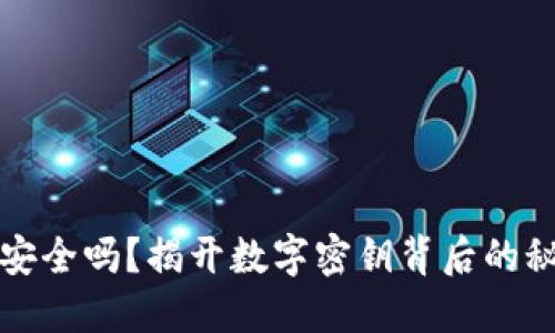 你的钱包安全吗？揭开数字密钥背后的秘密与挑战