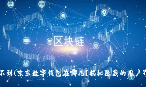 找不到！京东数字钱包在哪儿？揭秘隐藏的用户界面