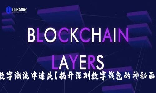 在数字潮流中迷失？揭开深圳数字钱包的神秘面纱！
