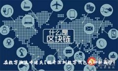 在数字潮流中迷失？揭开深圳数字钱包的神秘面