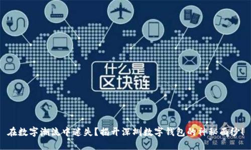 在数字潮流中迷失？揭开深圳数字钱包的神秘面纱！