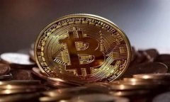 轻松掌握，TP钱包导入技巧，告别繁琐操作的烦恼