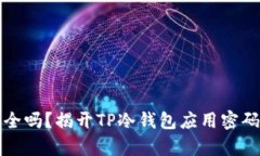 你的钱包安全吗？揭开TP冷钱包应用密码保护的真