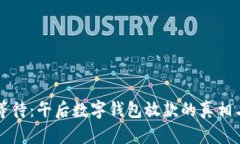 不再等待：午后数字钱包放款的真相与挑战