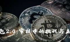数字钱包2.0：审核中的挑战与未来机遇