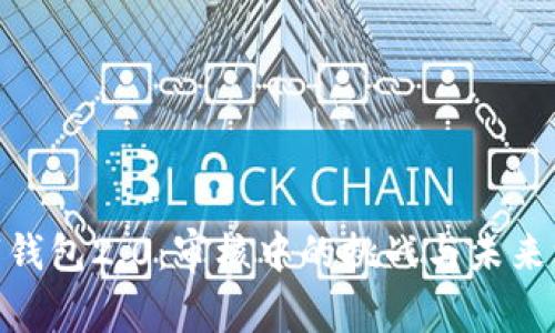 数字钱包2.0：审核中的挑战与未来机遇