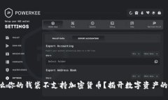 为什么你的钱袋不支持加密货币？揭开数字资产