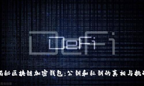 揭秘区块链加密钱包：公钥和私钥的真相与挑战