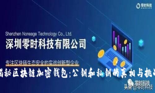 揭秘区块链加密钱包：公钥和私钥的真相与挑战