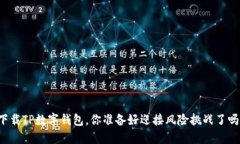 下载TP数字钱包，你准备好迎接风险挑战了吗？