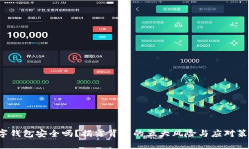 数字钱包安全吗？揭露背后的五大风险与应对策略！