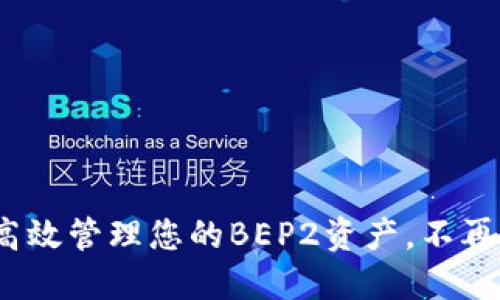 TP钱包:如何高效管理您的BEP2资产,不再迷失在币海中