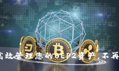 TP钱包:如何高效管理您的BEP2资产,不再迷失在币海中