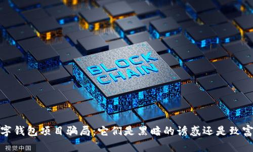 警惕!数字钱包项目骗局:它们是黑暗的诱惑还是致富的捷径?