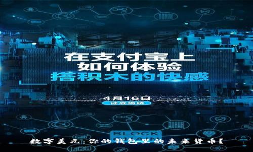 数字美元:你的钱包里的未来货币?