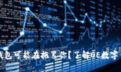 为什么你的数字钱包可能在拖累你？了解OE数字钱