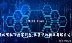 轻松驾驭TP数字钱包：设置中的挑战与解决方案