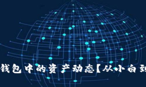 如何透视你在TP钱包中的资产动态?从小白到高手的全面指南