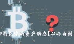 如何透视你在TP钱包中的资产动态？从小白到高手