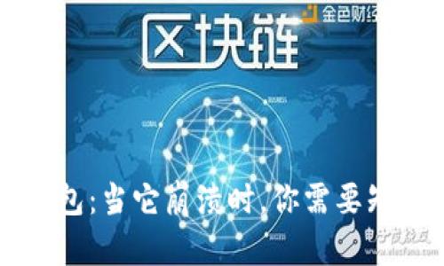重装TP钱包:当它崩溃时,你需要知道的秘密