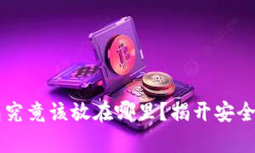 区块链钱包究竟该放在哪里?揭开安全存储的真相