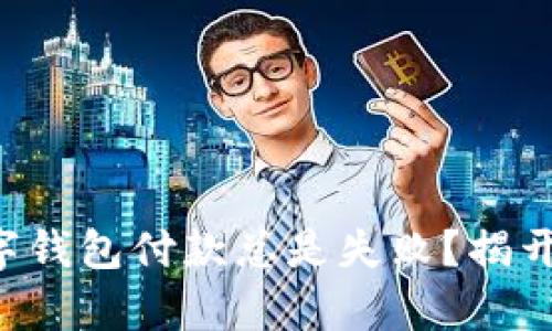 为何你的数字钱包付款总是失败？揭开背后的真相！