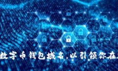 如何选择一个完美的数字币钱包域名，以引领你