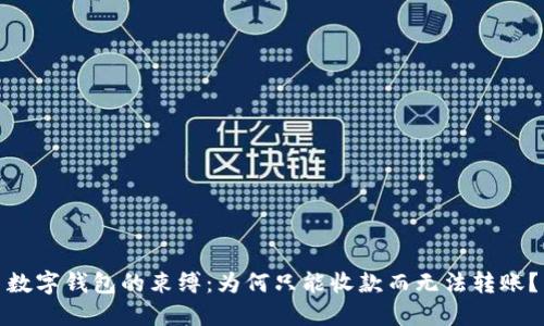数字钱包的束缚:为何只能收款而无法转账?
