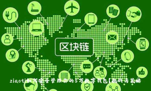 ziaoti如何安全管理你的5万数字钱包？挑战与策略