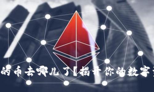 TP钱包里的币去哪儿了?揭开你的数字资产之谜!