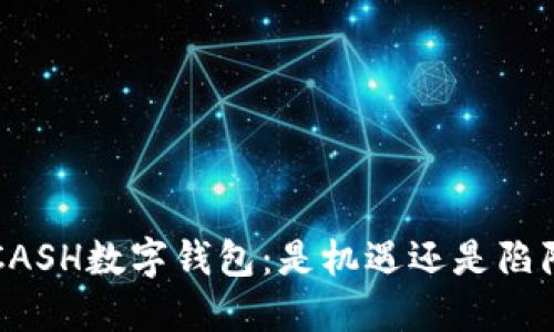KCASH数字钱包:是机遇还是陷阱?