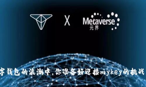 在数字钱包的浪潮中,你准备好迎接mykey的挑战了吗?