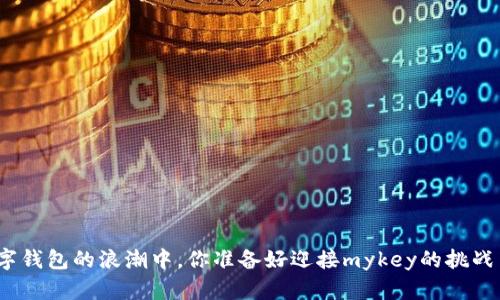 在数字钱包的浪潮中,你准备好迎接mykey的挑战了吗?