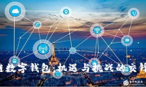 区块链数字钱包:机遇与挑战的交锋之旅!
