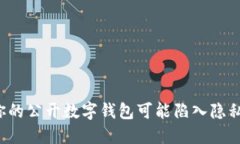 为何你的公开数字钱包可能陷入隐私危机？