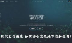 挑战现代支付困境：如何安全高效地下载和使用