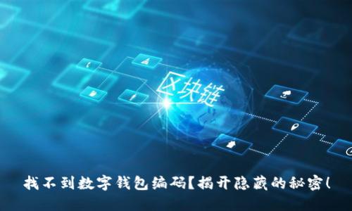 找不到数字钱包编码？揭开隐藏的秘密！