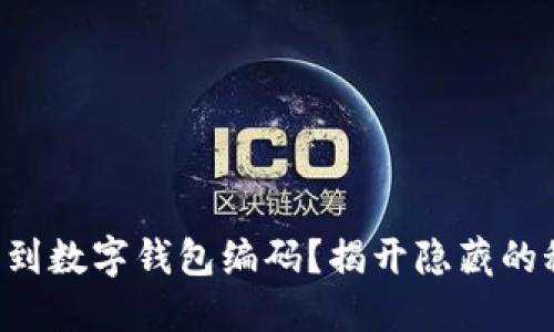找不到数字钱包编码？揭开隐藏的秘密！