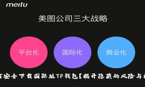 如何安全下载国际版TP钱包？揭开隐藏的风险与机会