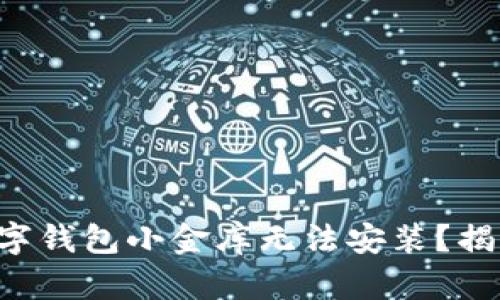 为什么你的数字钱包小金库无法安装?揭开背后的真相!