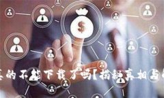 TP钱包真的不能下载了吗？揭秘真相与解决方案